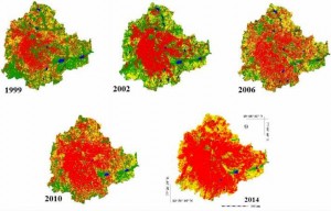 bangalore loss of green cover